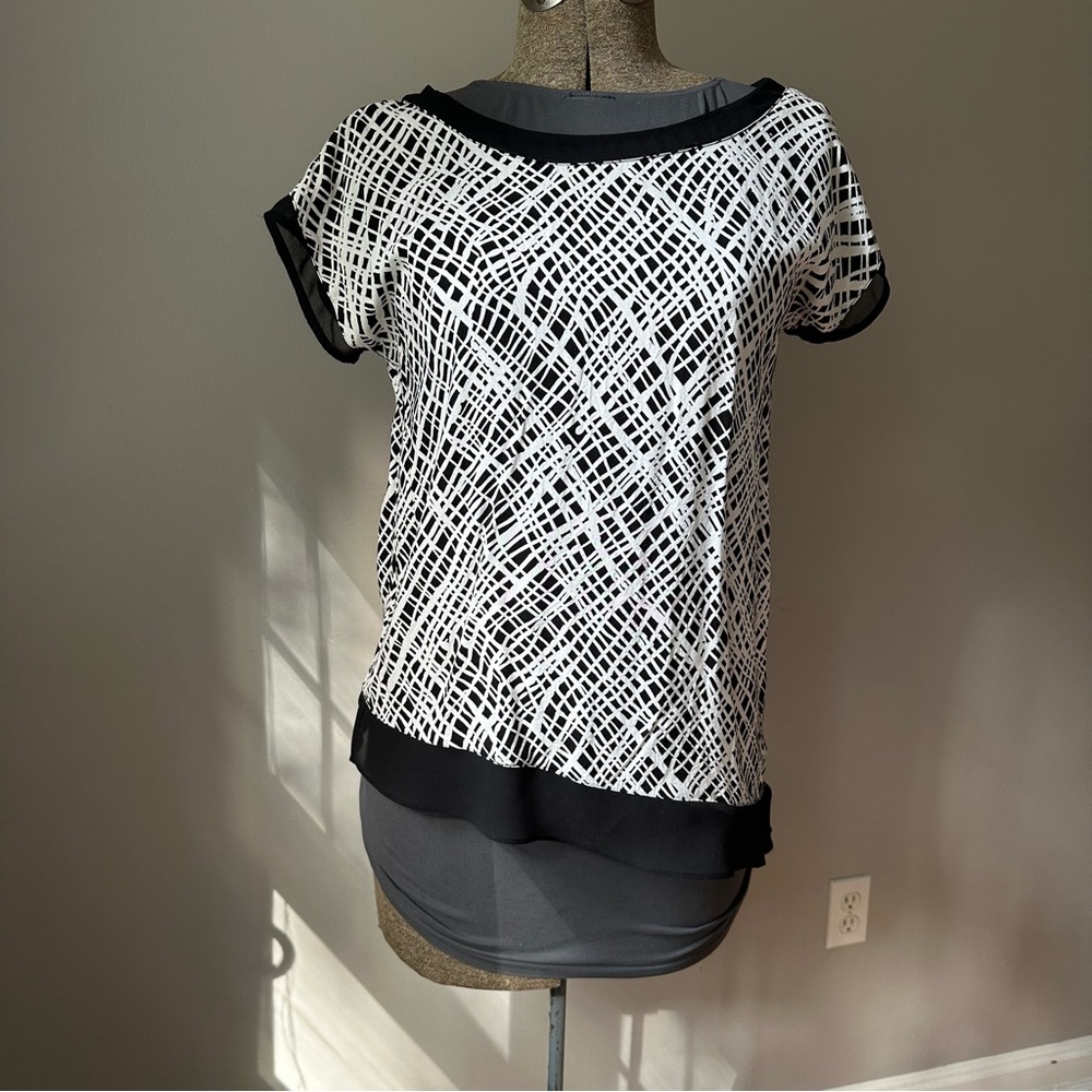 Ann Taylor sheer top